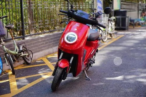 只有c1駕照不能騎電動車 別再被忽悠了,這3類電動車可以隨便騎