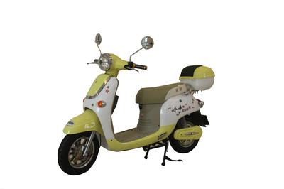 賽湖牌電動車SHTY-4820-H2