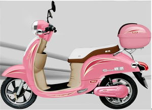 歐派電動(dòng)車順利通過(guò)江西省非機(jī)動(dòng)車上牌審批 圖