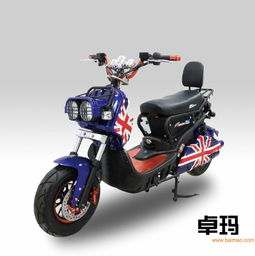 福州卓瑪電動(dòng)車價(jià)格 卓瑪電動(dòng)車多少錢 刀鋒供,福州卓瑪電動(dòng)車價(jià)格 卓瑪電動(dòng)車多少錢 刀鋒供生產(chǎn)廠家,福州卓瑪電動(dòng)車價(jià)格 卓瑪電動(dòng)車多少錢 刀鋒供價(jià)格